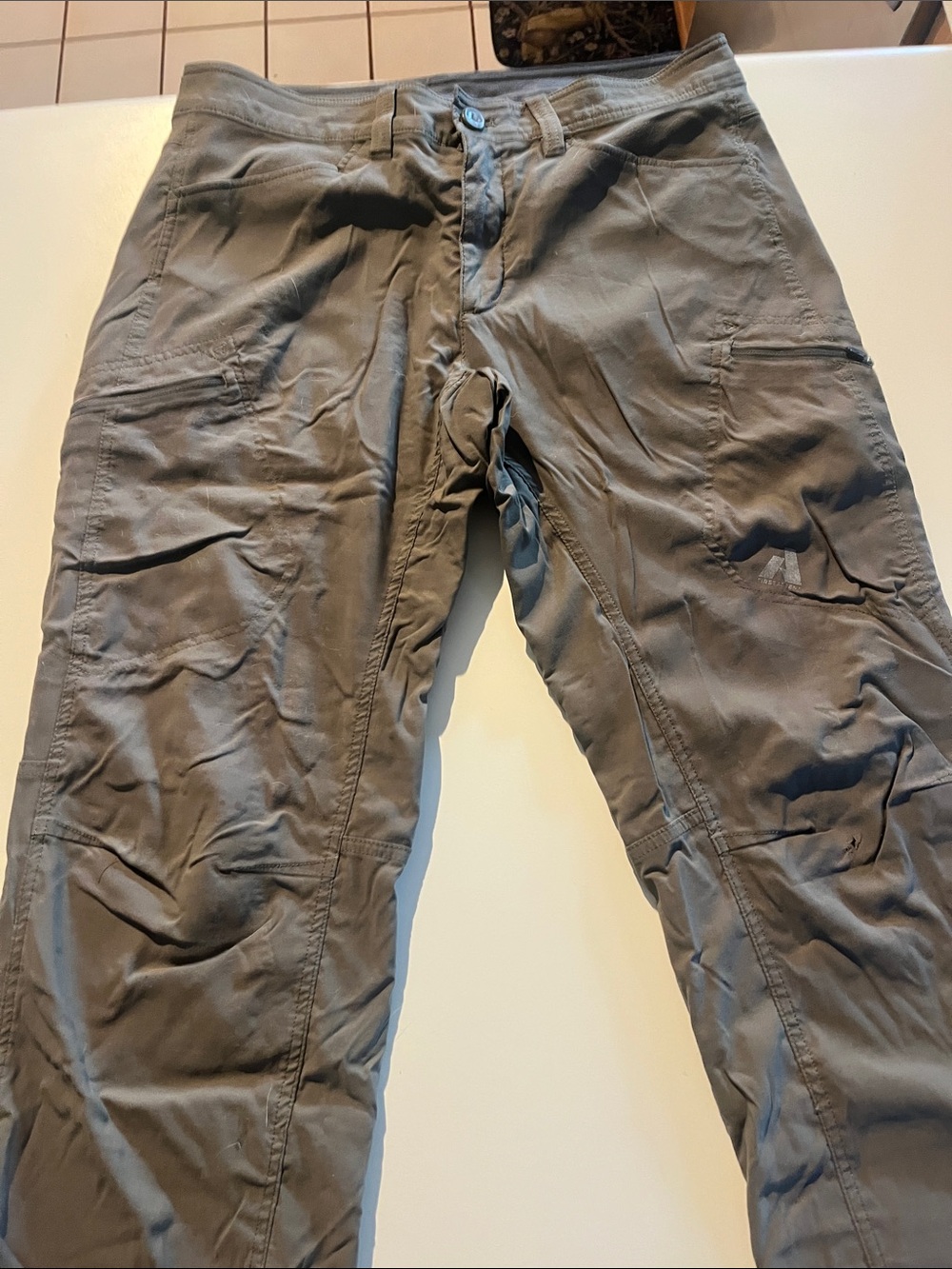 Eddie Bauer Men's Cargo Pants in Gray-Green